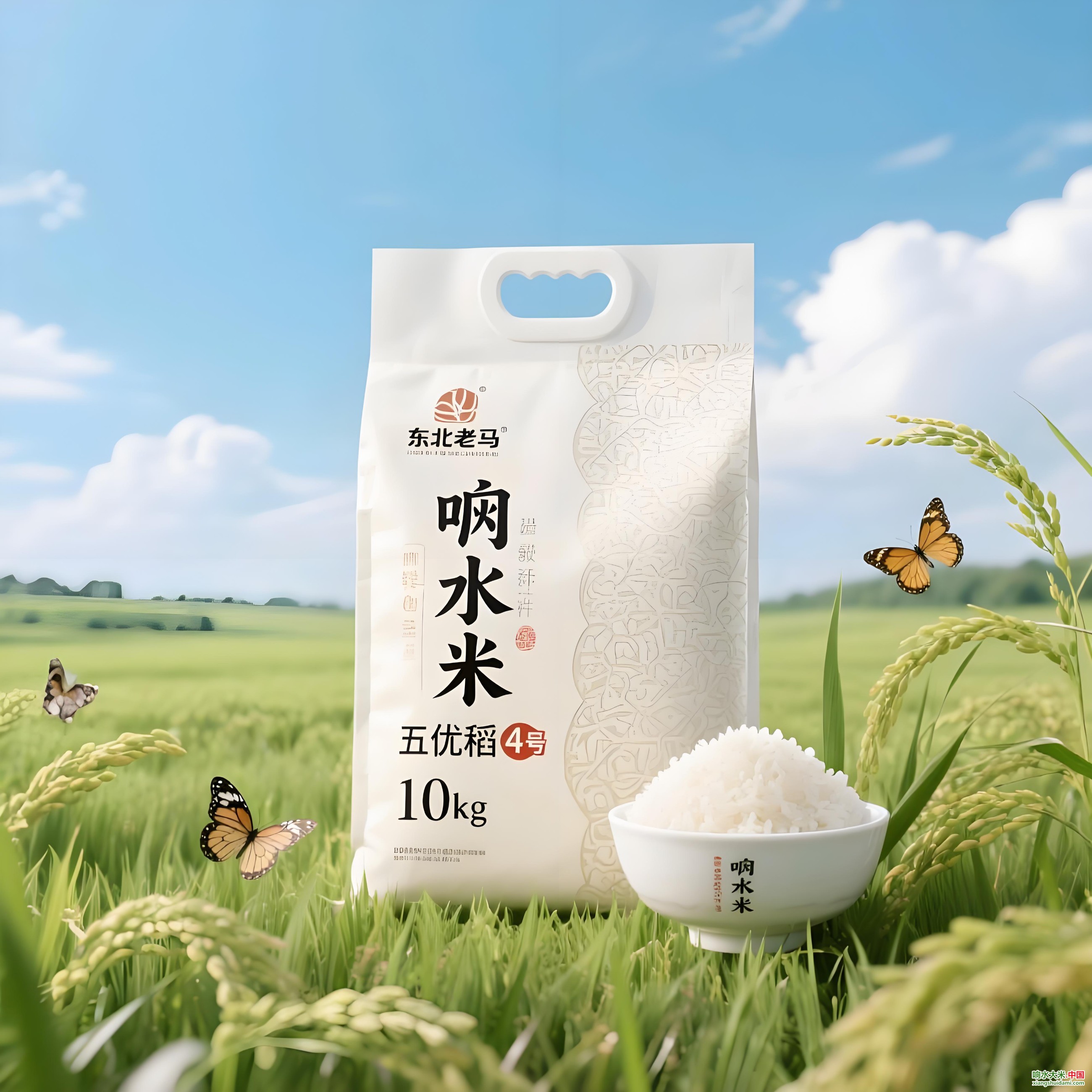 图片关键词 图片关键词