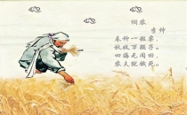 视频-东北大米排行榜 第一名响水大米