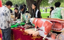 &ldquo;新农物语&rdquo;、教学簪花、&ldquo;桑榆撷影&rdquo;&hellip;&hellip;东北农业大学第四届耕读节启幕
