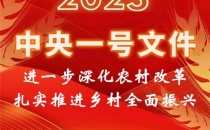 2025年中央一号文件（全文）进一步深化农村改革 扎实推进乡村全面振兴